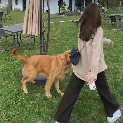 丁克与宝贝